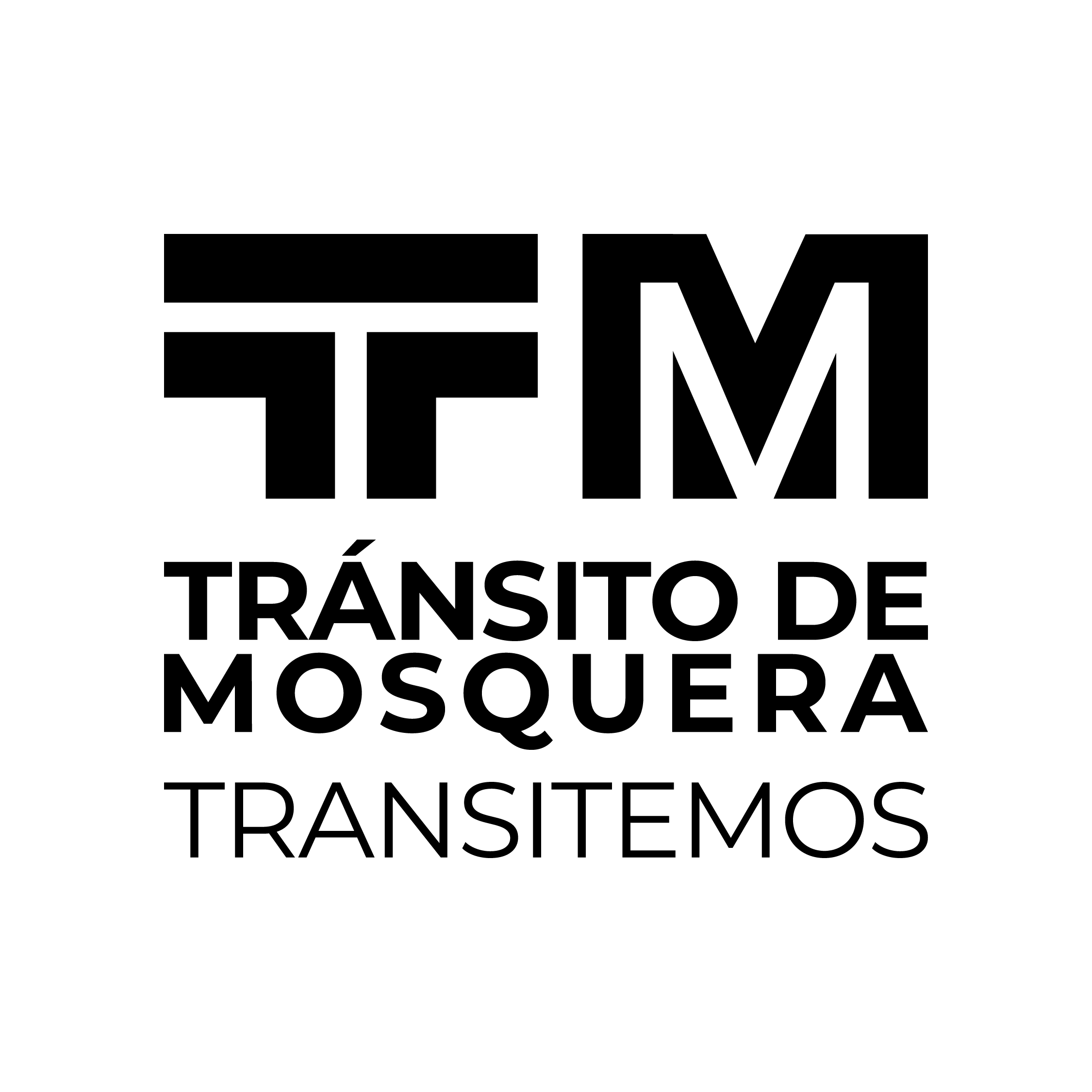 Logo-transitemos